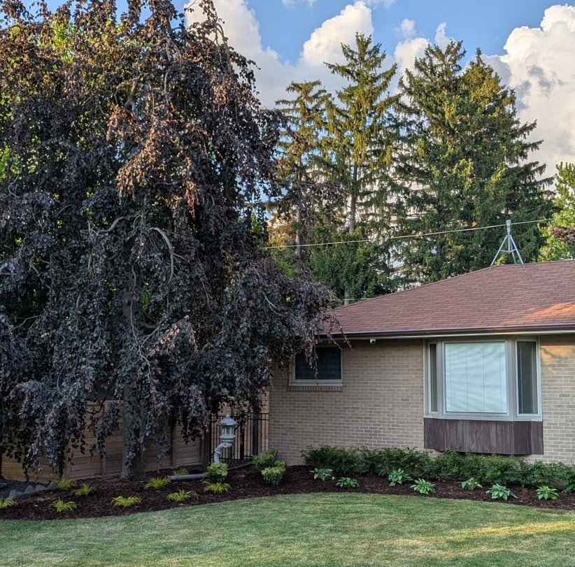 Lawn & Order Property Maintenance landscaping work